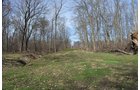 Property photo 111 - REAL ESTATE & PERSONAL PROPERTY AUCTION, 140 Acres offered in 8 Tracts or Combinations in Steuben County